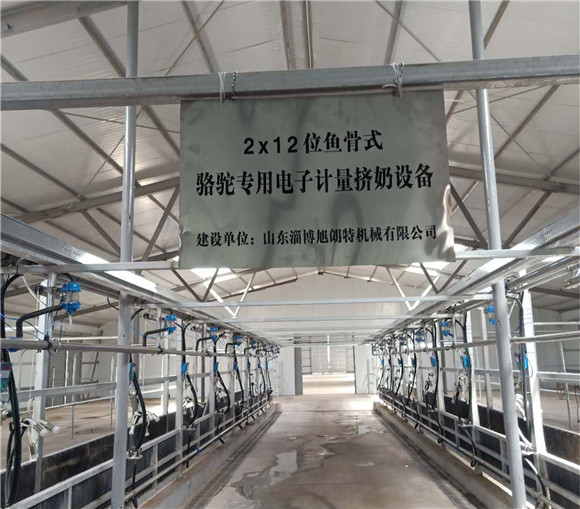 挤奶设备挤奶厅